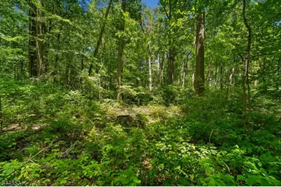 210 King George Rd, Warren Township, NJ 07059 - Photo 8