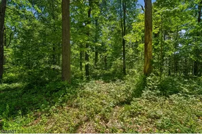 210 King George Rd, Warren Township, NJ 07059 - Photo 4