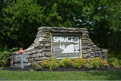 1306 Spruce Hills Dr, Glen Gardner, NJ 08826 - Photo 1