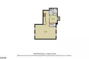 169 Watchung Ave, Chatham, NJ 07928 - Photo 36