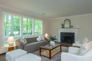 113 Woodland Ave, Morris Township, NJ 07960 - Photo 4