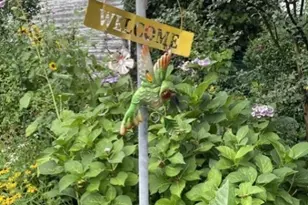 74 Forest St, Montclair, NJ 07042 - Photo 1