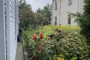 74 Forest St, Montclair, NJ 07042 - Photo 20