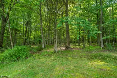 1 Green Rd, Sparta Township, NJ 07871 - Photo 46