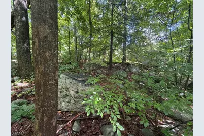 0 Ridge Rd, Jefferson Township, NJ 07438 - Photo 8