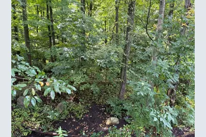 0 Ridge Rd, Jefferson Township, NJ 07438 - Photo 4