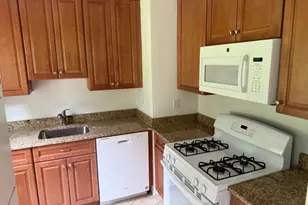 45 Hamilton St, Madison, NJ 07940 - Photo 8