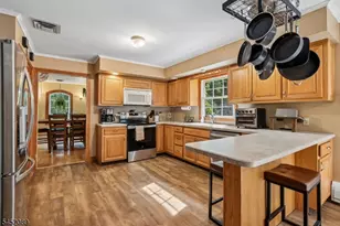 16 Zander Ln, Randolph Township, NJ 07869 - Photo 8