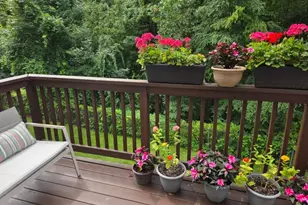 54 Woodledge Ct, Rockaway Township, NJ 07866 - Photo 28