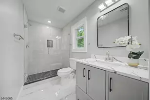 21 Willow Ave, Randolph Township, NJ 07869 - Photo 20