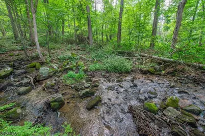 42 Scenic Dr, Green Township, NJ 07821 - Photo 44