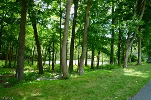 46/48 Oak Rd, Boonton Township, NJ 07005 - Photo 28