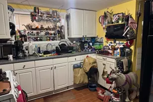 253 Crystal St, North Arlington, NJ 07031 - Photo 20