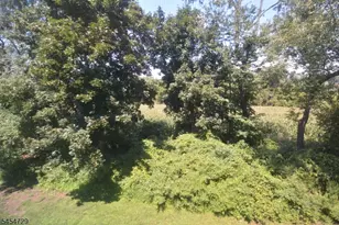 816 Spruce Hills Dr, Glen Gardner, NJ 08826 - Photo 12