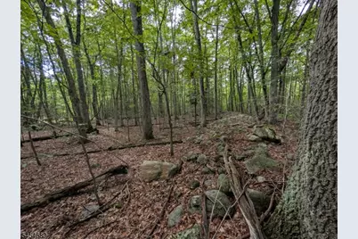 00 Anne Rd, Stillwater, NJ 07860 - Photo 2