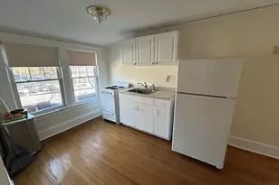 17 Mt Pleasant Ave, West Orange Township, NJ 07052 - Photo 20