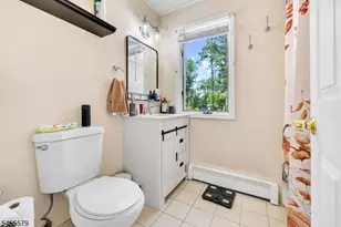 46 Ironia Rd, Chester, NJ 07930 - Photo 24
