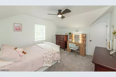 3 Lake Trl, Harding Township, NJ 07960 - Photo 18