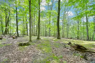 51 Paulinskill Lake Rd, Fredon Township, NJ 07860 - Photo 1