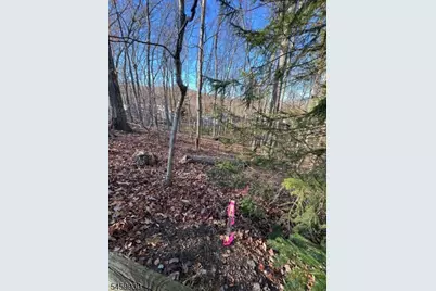 22 Mountain Rd, Denville, NJ 07834 - Photo 1