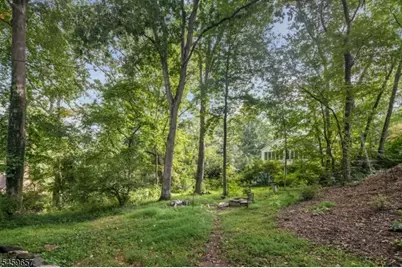 44 Chestnut Rd, Chatham Township, NJ 07928 - Photo 38