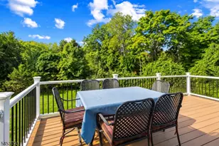 41 Buffalo Hollow Rd, Branchburg Township, NJ 08876 - Photo 36