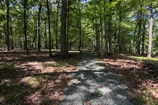 24 Shagbark Ln, Readington, NJ 08889 - Photo 1
