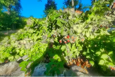 2 Kushaqua Trl, West Milford Twp., NJ 07421 - Photo 38