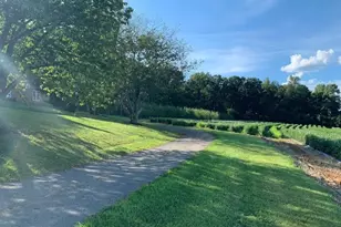 193 Parker Rd, Washington Township, NJ 07853 - Photo 14