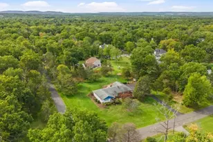 913 Madison Ave, Bridgewater, NJ 08807 - Photo 50