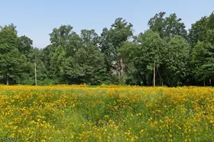 105 Rensselaer Rd, Essex Fells, NJ 07021 - Photo 36