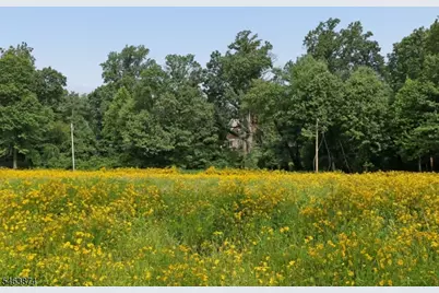 105 Rensselaer Rd, Essex Fells, NJ 07021 - Photo 36