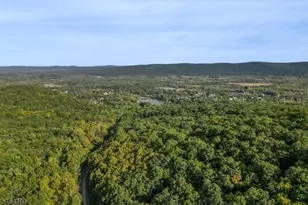 52 Lounsberry Hollow Rd, Vernon, NJ 07461 - Photo 48