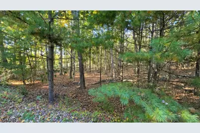 0 Hotalen Rd, Sandyston Township, NJ 07826 - Photo 2