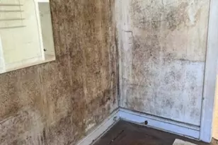 36 S 20th St, East Orange, NJ 07018 - Photo 2