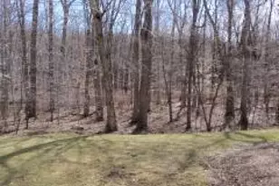 161 Woods Edge Dr, Roxbury Township, NJ 07876 - Photo 4