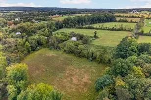 1599 County Road 519, Alexandria Township, NJ 08825 - Photo 38
