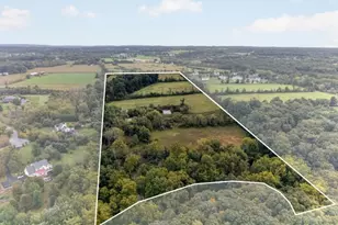1599 County Road 519, Alexandria Township, NJ 08825 - Photo 1
