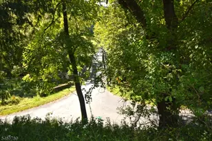 300 River, Pohatcong Township, NJ 08865 - Photo 36