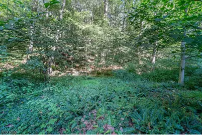 00 Sweet Hollow Road, Holland Township, NJ 08848 - Photo 2