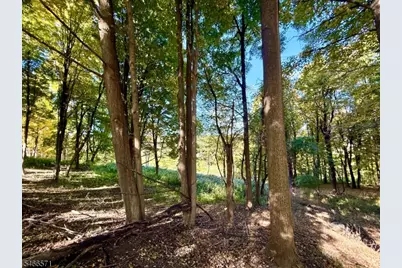 111 Munsonhurst Rd, Franklin, NJ 07416 - Photo 10