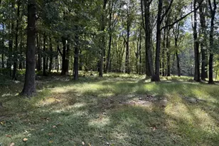 81 Woolf Rd, Alexandria Township, NJ 08848 - Photo 10