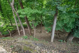 58 Orton Rd, West Caldwell, NJ 07006 - Photo 26