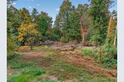 295 County Road 519, Kingwood Township, NJ 08559 - Photo 44