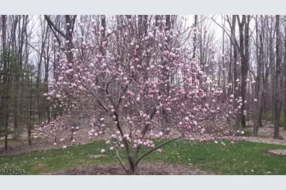 431 Little Brook Rd, Lebanon Township, NJ 08826 - Photo 12