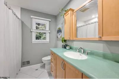 119 Shady Ln, Randolph Township, NJ 07869 - Photo 28