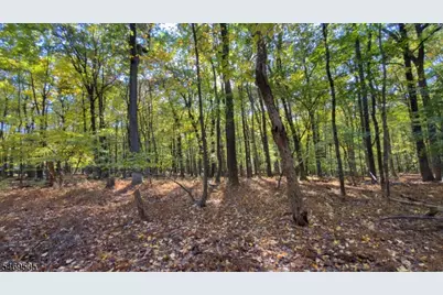 37 Lt Hooper Rd, Alexandria Township, NJ 08848 - Photo 4