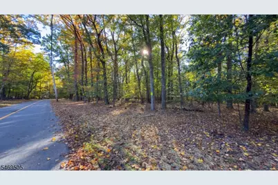 37 Lt Hooper Rd, Alexandria Township, NJ 08848 - Photo 8