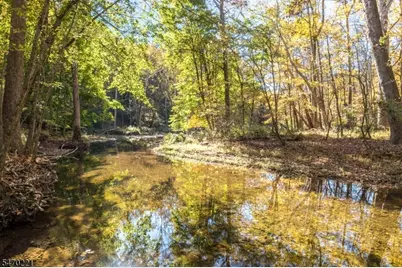 275 Creek Rd, Alexandria Township, NJ 08825 - Photo 4