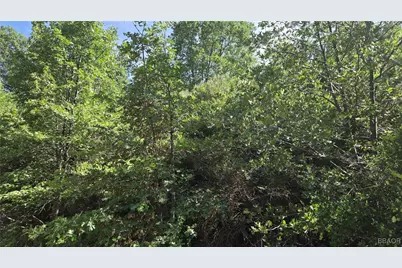 00987 Elder Drive, Cedar Glen, CA 92321 - Photo 2